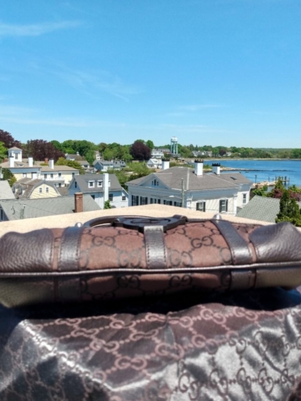 Gucci Interlocking GG Monogram Royal Reins Bag - Picture 11 of 16